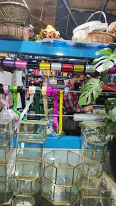 گل فروشی کاکتوس