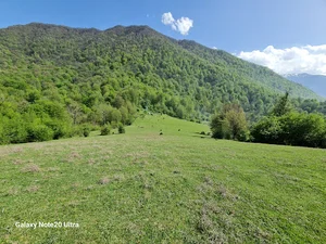 دشت شمسک
