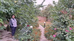Kohan Dezh Ecolodge, اقامتگاه کهن دژ