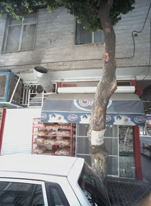 فروشگاه نان باگت و کلوچه 2