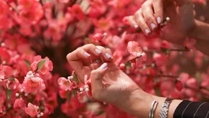 صالون بيوتي بوك للعنايه بالشعر والأظافر & Salon Beauty Book Hair&Nail Retreat