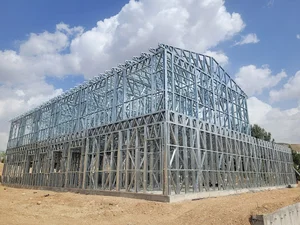 ال اس اف در مازندران lsf