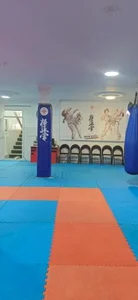 باشگاه آروین 5