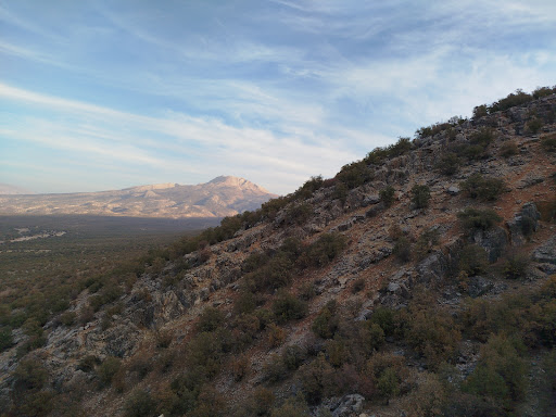 لردگان