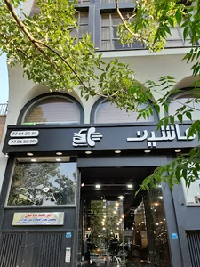 کلینیک تخصصی ام اس و انسفالیت های التهابی مغز و نخاع دکتر سعید شاه بیگی