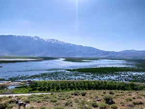 Gandoman International Wetland - تالاب بین المللی گندمان