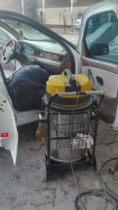 کارواش بزرگ بهار