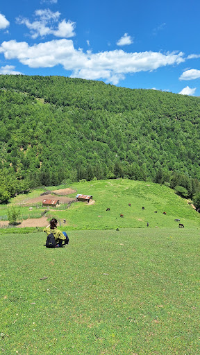 ییلاق سریونی