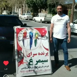پرنده سرای سیمرغ