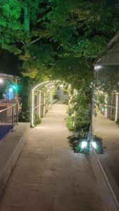 باغ رستوران کاج