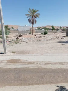 باند عقرب