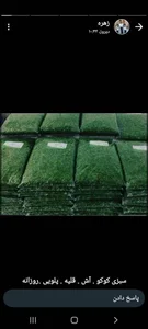 پخت روزانه سبزی قورمه 2