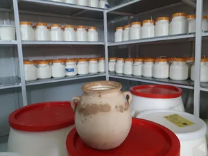 لبنیاتی توژال