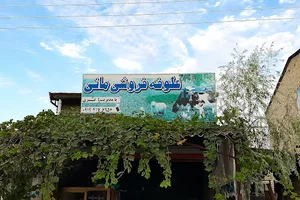 علوفه فروشی مانی