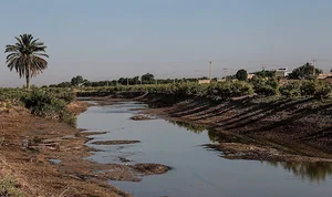 کرخه
