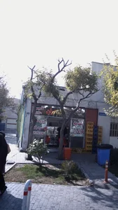 اغذیه برادران 4