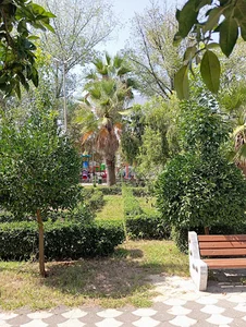 اسکله بندر انزلی