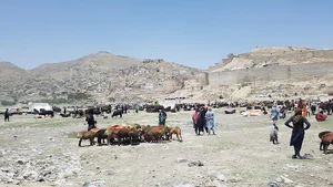 کول حشمت خان