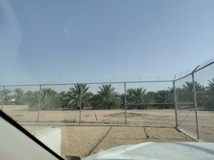 المزاحمية