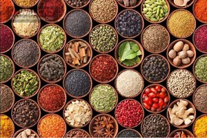 عطاری احیای سلامت ولیعصر
