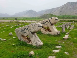 دشت سوسن