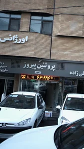 پروتئین پیروز 2