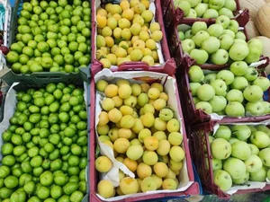 میوه فروشی باغ بهشت