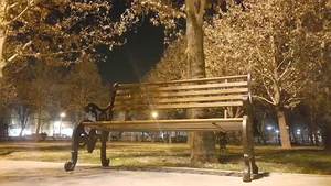 بوستان شقایق
