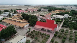 دانشگاه جیرفت