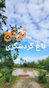 مجموعه گردشگری باغ ترنج , ترنج جاییست که زندگی در آن جاریست🌱,  @baghtoranj.ir, __________________________________, اجاره سوییت و ویلا باغ،  با زیبا ترین لوکیشن , تنکابن روستای زیبای علی آباد, باغ ...