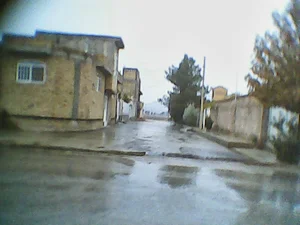 دامداری صنعتی جواد محمدی