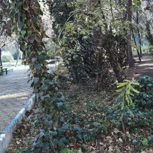 مجموعه تفریحی ورزشی مهربانو کاشان 4