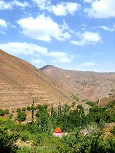 نرم پا
