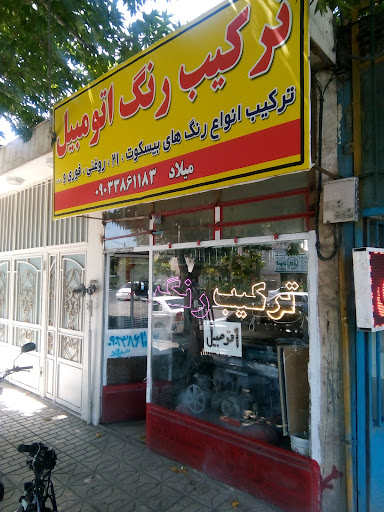 ترکیب رنگ هاشم پور