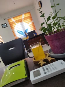 کارگزاری بیمه خاورمیانه خانم الهه احمدی