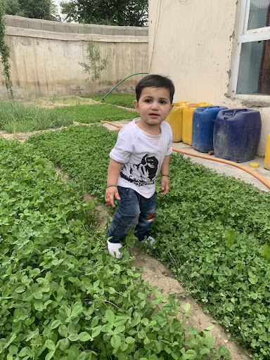 د یولسم بلاک تفریحي لوبغاړی پارک