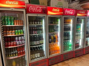 بریان کده تام لی 3