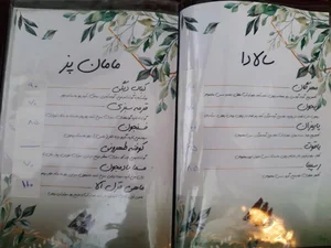 کافه بید مجنون 5