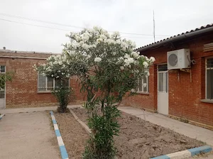 دانشگاه پیام نور
