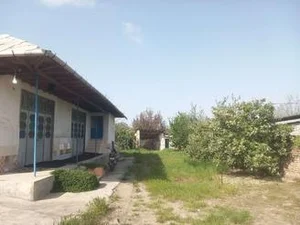 نمایندگی بیمه پاسارگاد قائم شهر کد 72111