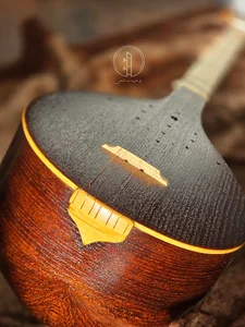 خانه تار و سه تارِ وحید صالحی