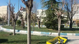پارک وحیدیه