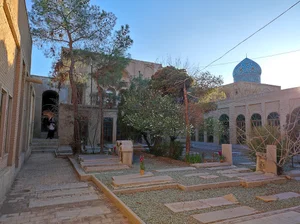 تاج گل