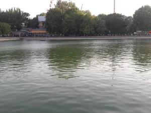 استخر شاهگلی 2