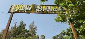 تپه شاهد 4