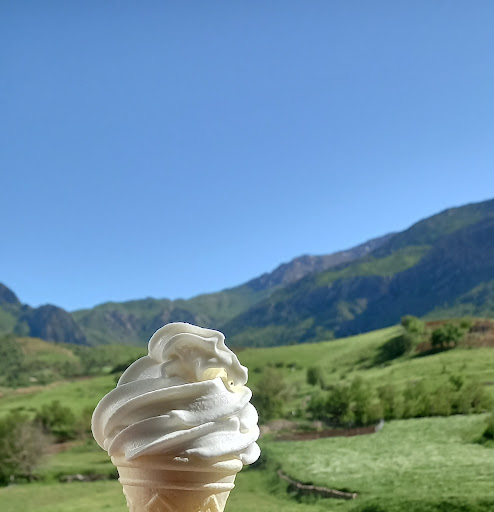 بستنی دزلی شعبه ۲
