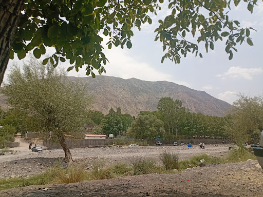 کوه شیر