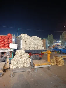 بارفروشی و حق العمل کاری علیرضا زارع