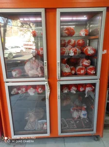 پروتئین مرغ ماهی گوشت شایان
