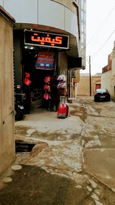 تولید و پخش کیف هما